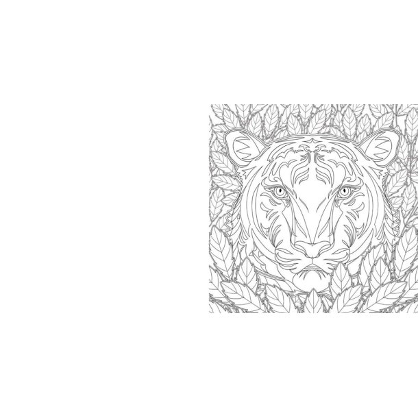 National Geographic Magnificent Animals