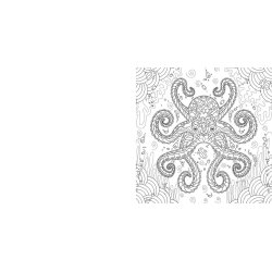 National Geographic Magnificent Animals