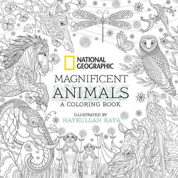 National Geographic Magnificent Animals