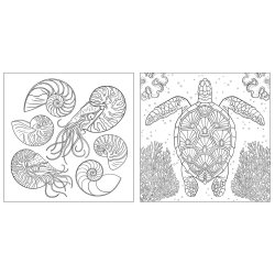 National Geographic Magnificent Ocean