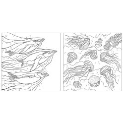 National Geographic Magnificent Ocean