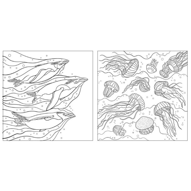 National Geographic Magnificent Ocean