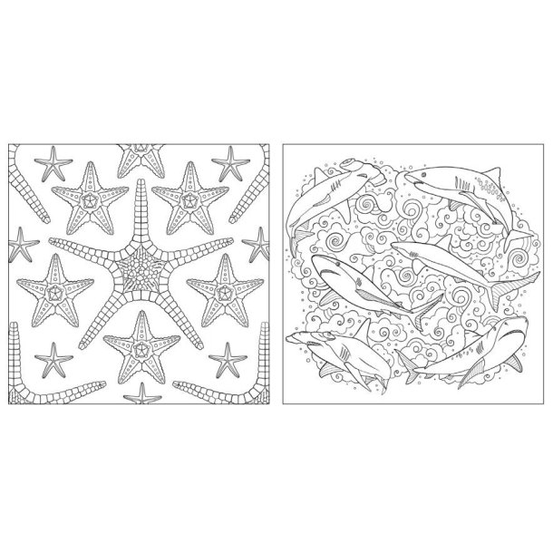 National Geographic Magnificent Ocean