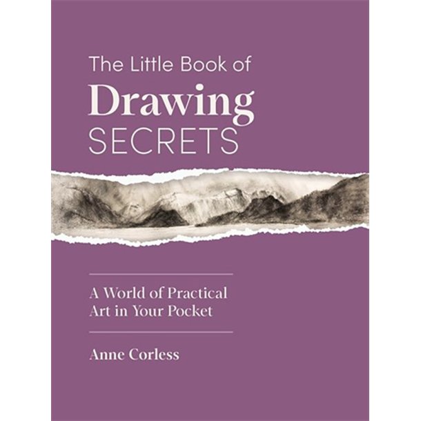 The Little Book of Drawing Secrets