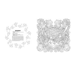 Dinosaurs A Smithsonian Coloring Book