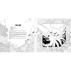 Sea Creatures A Smithsonian Coloring Book