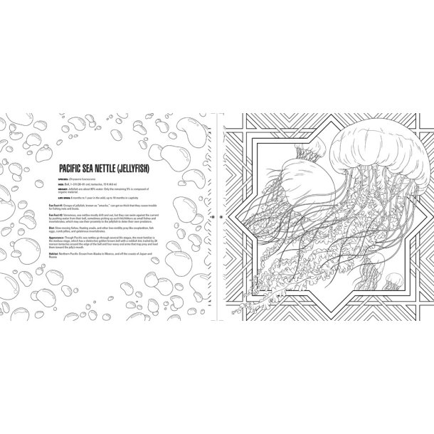 Sea Creatures A Smithsonian Coloring Book