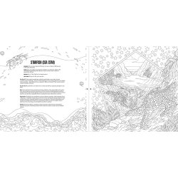 Sea Creatures A Smithsonian Coloring Book