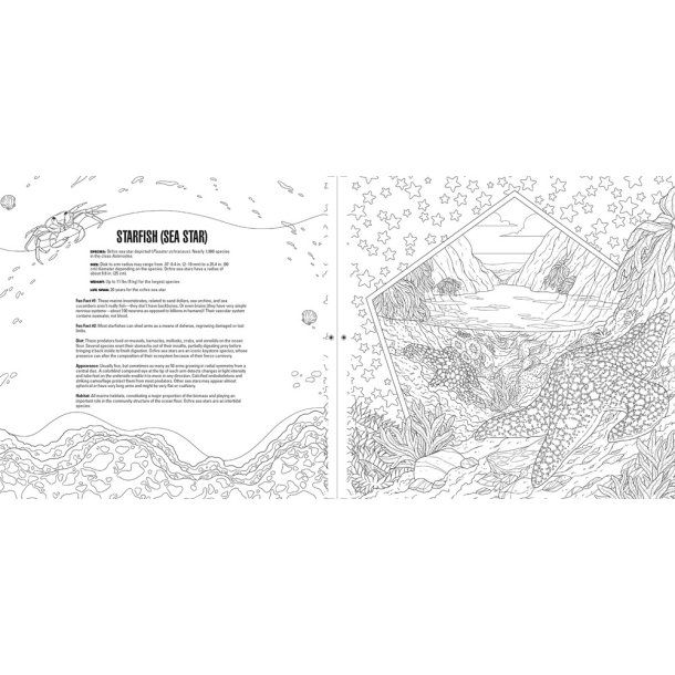 Sea Creatures A Smithsonian Coloring Book