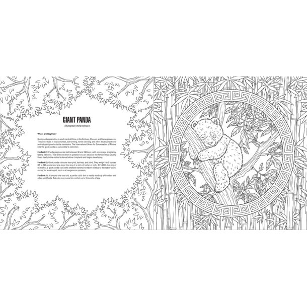 Baby Animals A Smithsonian Coloring Book