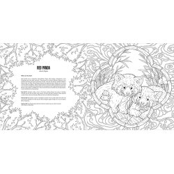 Baby Animals A Smithsonian Coloring Book
