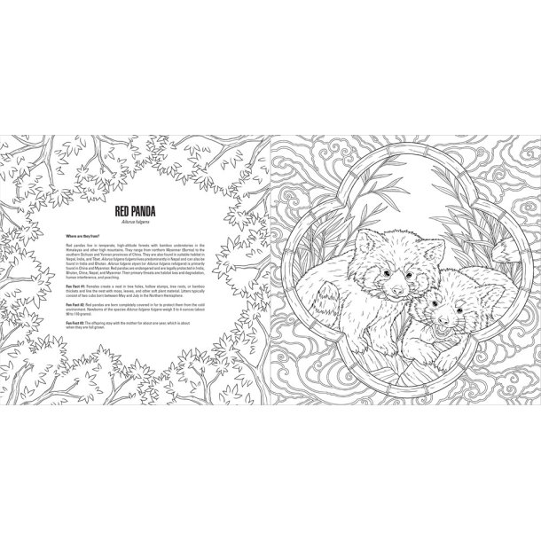 Baby Animals A Smithsonian Coloring Book