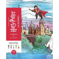 Disney Paint-by-Numbers - Harry Potter