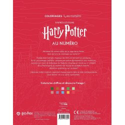 Disney Paint-by-Numbers - Harry Potter