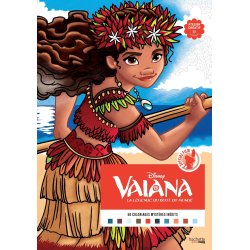 Disney Paint-by-Number - Vaiana