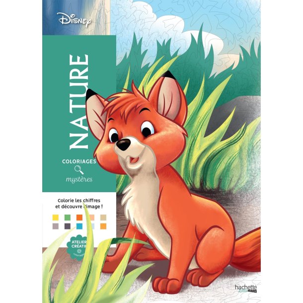 Disney Paint-by-Number - Nature