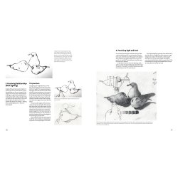 Learn to See, Learn to Draw