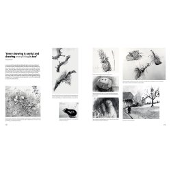 Learn to See, Learn to Draw