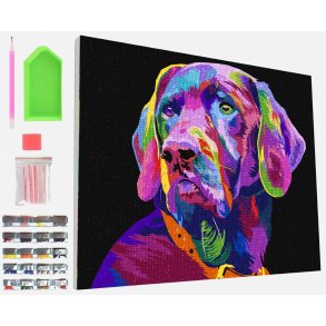 Dog - Paint By Numbers 30 x 30 cm.