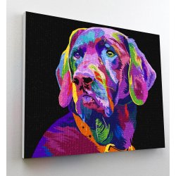 Dog - Paint By Numbers 30 x 30 cm.