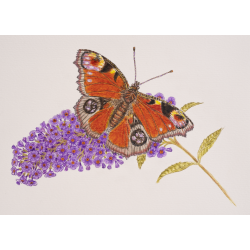 Bruynzeel Expression Farveblyanter 72-pak