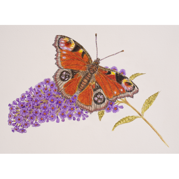 Bruynzeel Expression Farveblyanter 72-pak