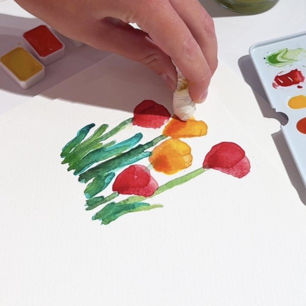 Rosa Premium Akvarel Pakke