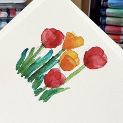 Rosa Basis Akvarel Pakke