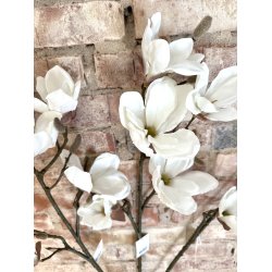 Magnolia Gren 92cm - Hvid