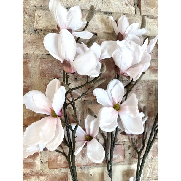 Magnolia Gren 92cm - Rosa