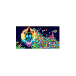 Kalaidomorphia: An Extreme Coloring and Search Challenge