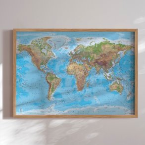 Verdenskort Plakat - Clarity