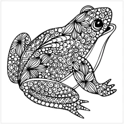 Roholt Studio Malebogspakke - The Animal Kindom Malebog - Vol. 1&2 