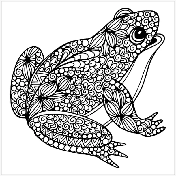 Roholt Studio Malebogspakke - The Animal Kindom Malebog - Vol. 1&2 