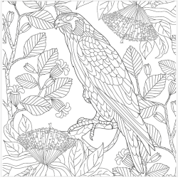 The Animal Kindom Malebog - Vol. 1