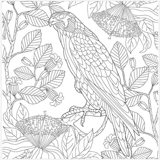 The Animal Kindom Malebog - Vol. 1