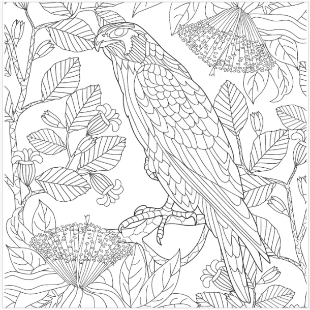 Roholt Studio Malebogspakke - The Animal Kindom Malebog - Vol. 1&2 