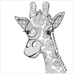 Roholt Studio Malebogspakke - The Animal Kindom Malebog - Vol. 1&2 