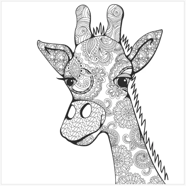 Roholt Studio Malebogspakke - The Animal Kindom Malebog - Vol. 1&2 