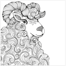 The Animal Kindom Malebog - Vol. 2