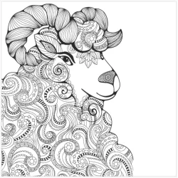 Roholt Studio Malebogspakke - The Animal Kindom Malebog - Vol. 1&2 