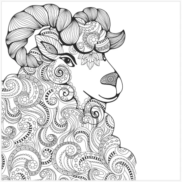 Roholt Studio Malebogspakke - The Animal Kindom Malebog - Vol. 1&2 