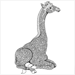 The Animal Kindom Malebog - Vol. 2