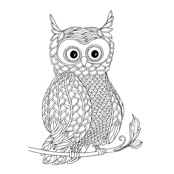 Creative Therapy - Blooms, Birds &amp; Butterflies