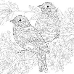 Let's Unfold The Jungle - Adult Coloring Book