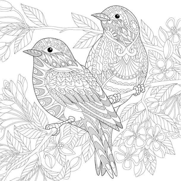 Let's Unfold The Jungle - Adult Coloring Book