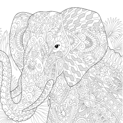 Let's Unfold The Jungle - Adult Coloring Book