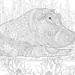 Let's Unfold The Jungle - Adult Coloring Book