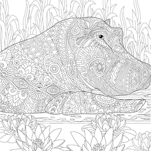 Let's Unfold The Jungle - Adult Coloring Book