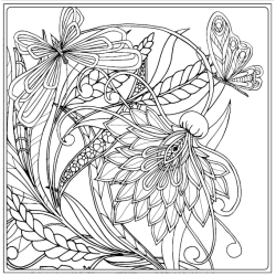 Birds &amp; Butterflies - Colouring for Mindfulness